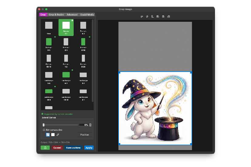 Wando crop and resize tool