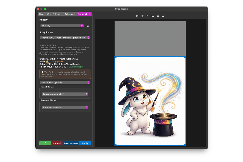 Wando crop and resize presets for social media
