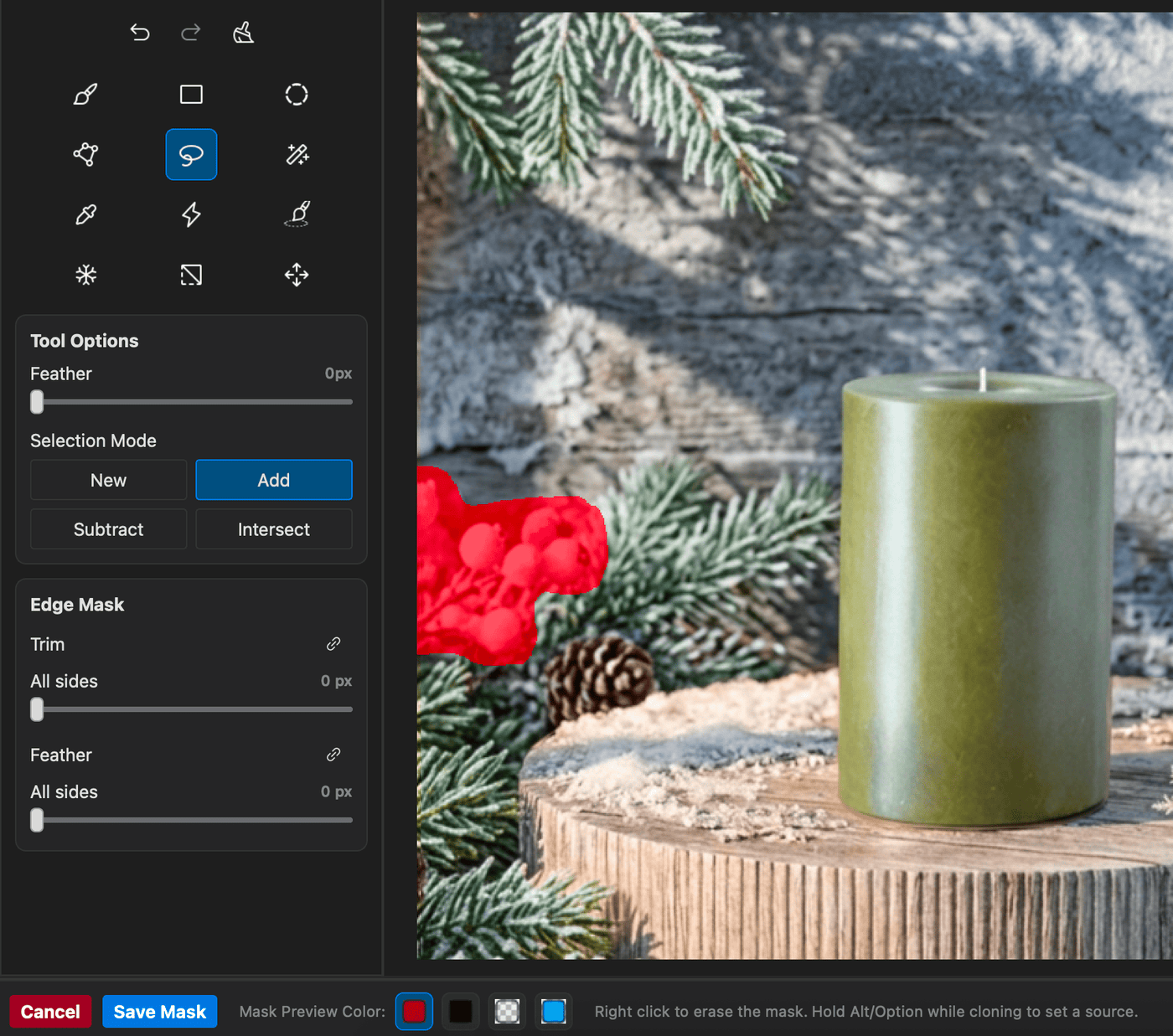 Wando Express mask editor with selection tools and edge controls, masking red berries beside a green candle